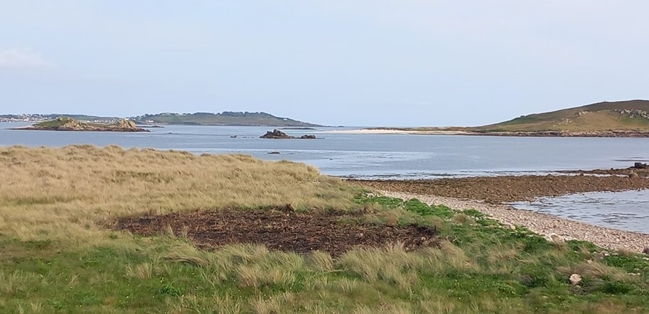 Image of the 50m square burnt area on heathland above the beach on Bryher taken the day after the fire.